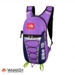کوله پشتی طرح The North Face مدل Bike 15 - %d8%a8%d9%86%d9%81%d8%b4 - 15-%d9%84%db%8c%d8%aa%d8%b1