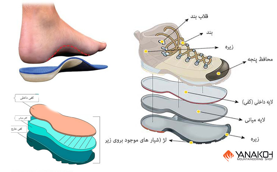 یک کفش که لایه های مختلف آن شامل زیره، لایه میانی، لایه داخلی، لژ و... را نمایش می دهد.