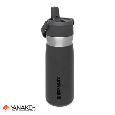 قمقمه دوجداره 650 میلی لیتر نی دار استنلی (STANLEY) سری GO مدل Flip Straw Water Bottle طوسی